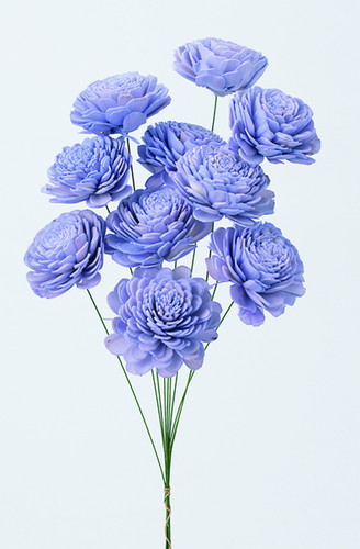 ソーラーローズ 大 ライトパープル【ライトパープル】の画像