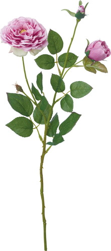 オールドローズスプレー【ラベンダー】の画像