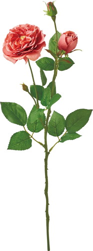 オールドローズスプレー【サーモン】の画像