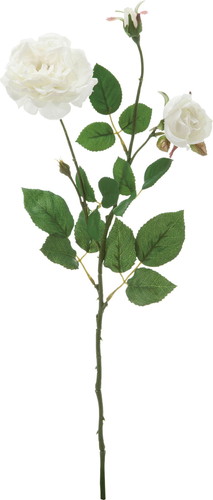 オールドローズスプレー【ホワイト】の画像