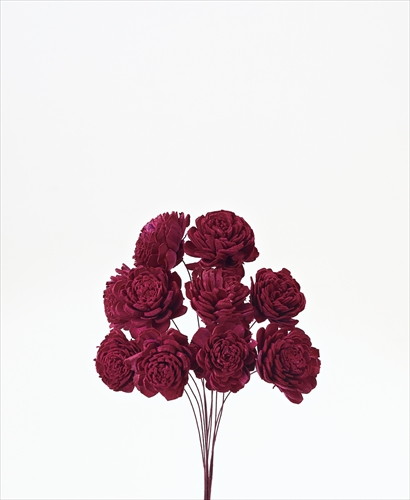 ソーラーローズ 小 ワインレッド【ワインレッド】の画像