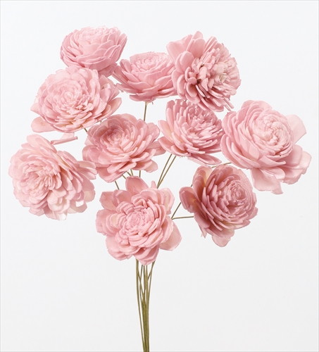 ソーラーローズ 小 クリスタルピンク【クリスタルピンク】の画像