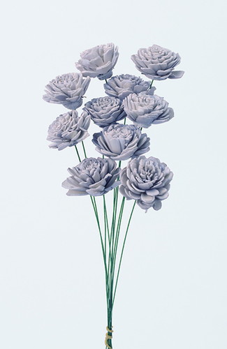 ソーラーローズ 小 シャンパン【シャンパン】の画像