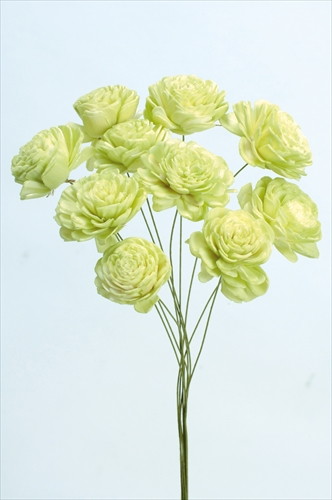 ソーラーローズ 小 エンジェルグリーン【エンジェルグリーン】の画像