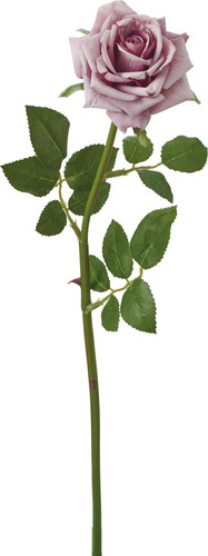 エレガントローズ【ラベンダー】の画像