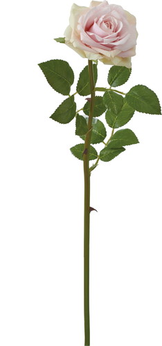 エレガントローズ【ピンク】の画像