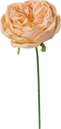 ガーデンローズピック【サーモン】の画像