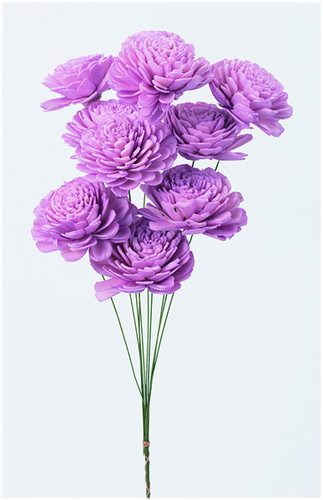 ソーラーローズ 大 クリスタルピンク【クリスタルピンク】の画像