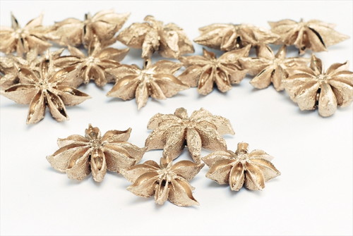 [DRO21020_932]スターアニス プラチナ【プラチナ】の画像