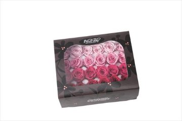 ビビアン・カラーアソート ピンクミックス【ピンクミックス】の画像