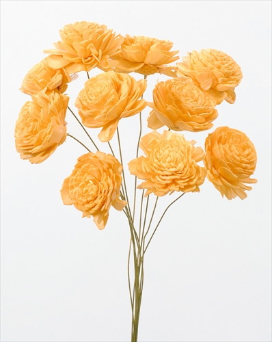 ソーラーローズ 小 ジュリアオレンジ【ジュリアオレンジ】の画像