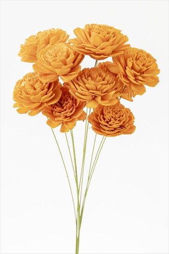 ソーラーローズ 小 オレンジ【オレンジ】の画像