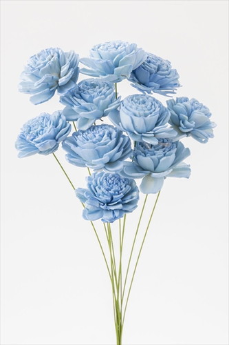 ソーラーローズ 小 ベビーブルー【ベビーブルー】の画像