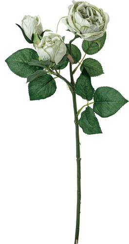 ガーデンローズスプレー【グレーグリーン】の画像