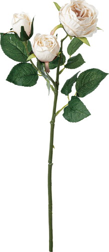 ガーデンローズスプレー【ライトピンク】の画像