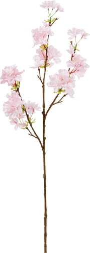 たわわザクラ【ピンク】の画像