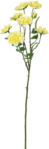 フリルレアローズスプレー【ライトイエロー】の画像