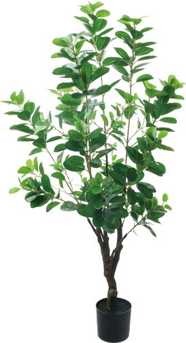 アポロゴム【グリーン】の画像