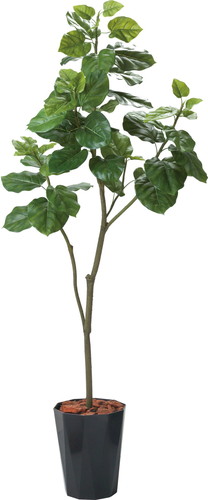 180cmウンベラータポットの画像