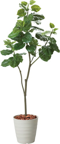 180cmウンベラータポットの画像