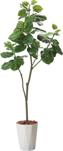 180cmウンベラータポットの画像