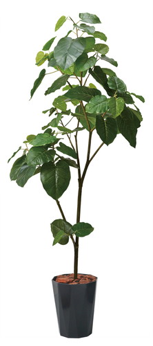 180cmウンベラータポットの画像