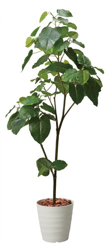 180cmウンベラータポットの画像