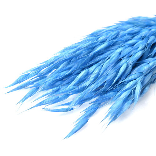 アベーナ ドライ ライトブルーの画像