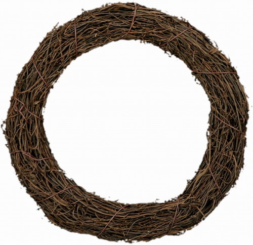 サリムリースφ20の画像