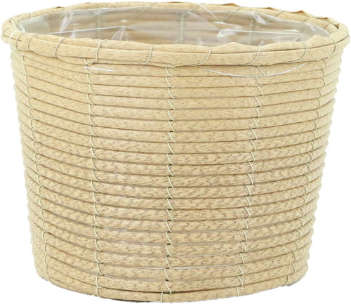 PEプランターD6の画像