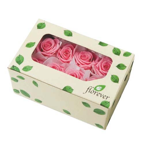 スプレーローズ ソフトイエローの画像