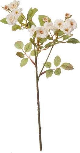 ポラニエポンポンローズ【クリーム】の画像