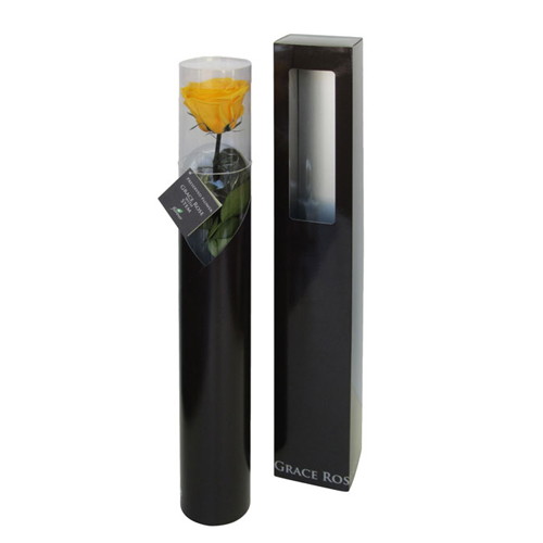 グレースローズ ステム付 ゴールデンイエローの画像