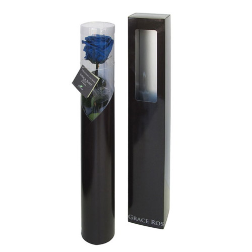 グレースローズ ステム付 グランブルーの画像