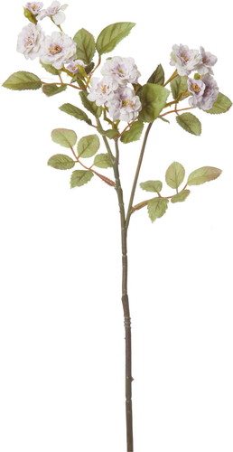 ポラニエポンポンローズ【ライトラベンダー】の画像