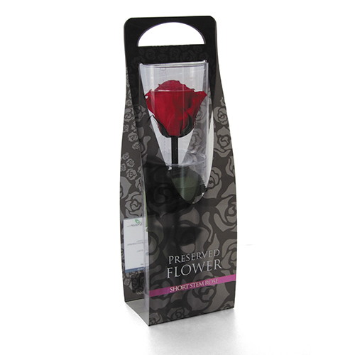 ショートステムローズ チェリーレッドの画像