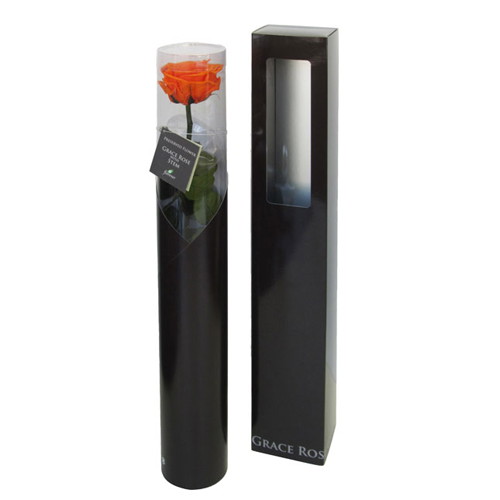 グレースローズ ステム付 タンジェリンオレンジの画像