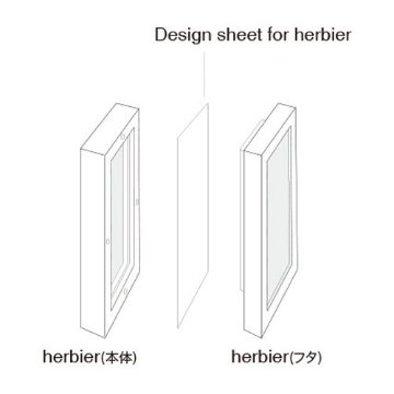 Design Sheet for herbier_9L28W (デザインシート フォー エルビエ)【CLEAR】画像