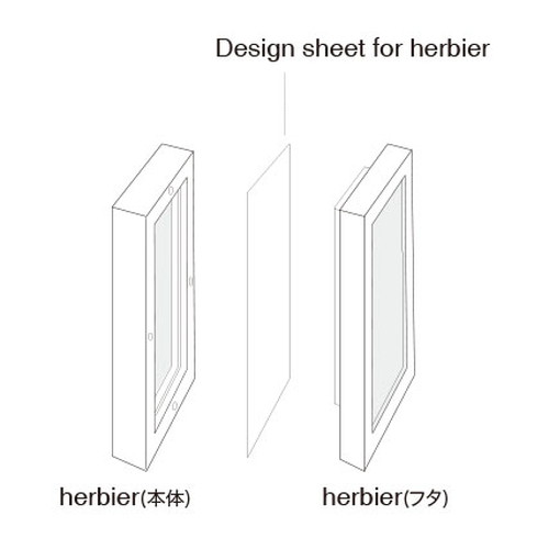 Design Sheet for herbier_12.5L28W (デザインシートフォー エルビエ)【CLEAR】画像