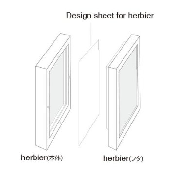 Design Sheet for herbier_28L40W (デザインシート フォー エルビエ)【CLEAR】画像