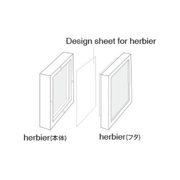 Design Sheet for herbier_19.5□ (デザインシート フォー エルビエ)【CLEAR】画像