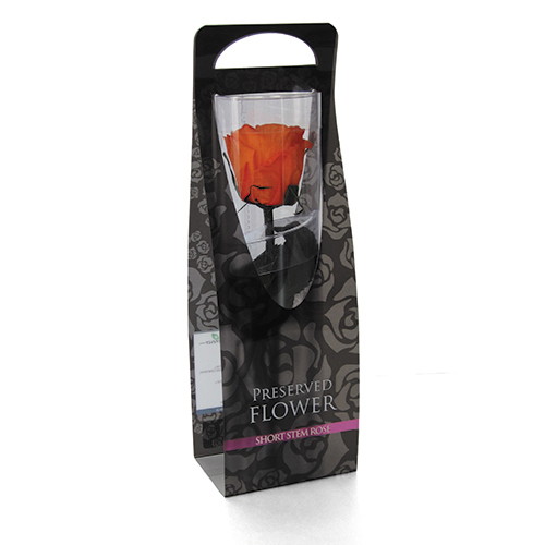 ショートステムローズ タンジェリンオレンジの画像