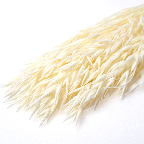 アベーナ ドライ ナチュラルの画像