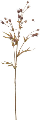 アマニスプレー【ブラウン】の画像