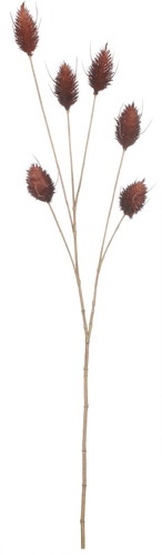 ウサギノオスプレー【ダークブラウン】の画像