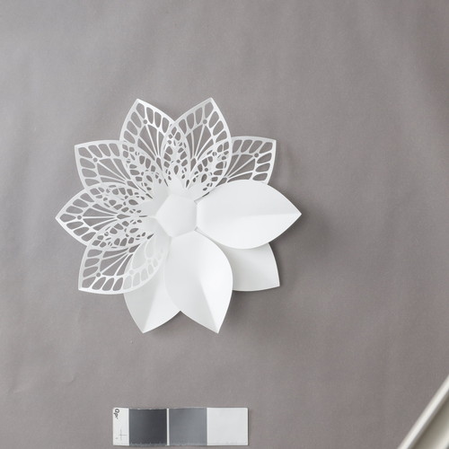 LIMEXダリアコラージュM【ホワイト】の画像