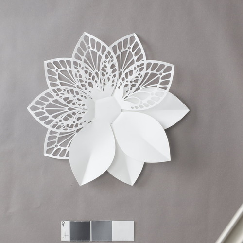 LIMEXダリアコラージュL【ホワイト】の画像