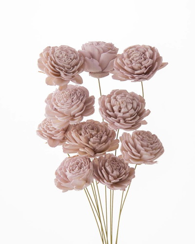 ソーラーローズ 小 ミスティーローズ【ミスティーローズ】の画像