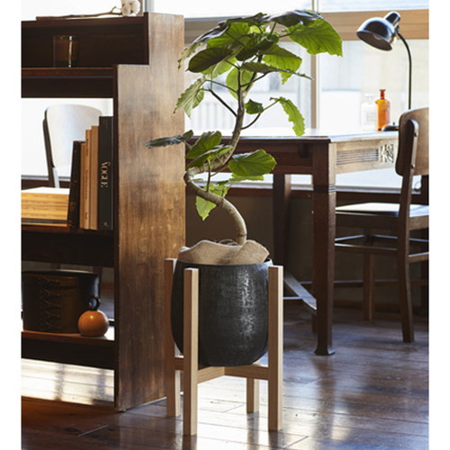Wood stand combi_35L35W43H (ウッドスタンドコンビ)の画像