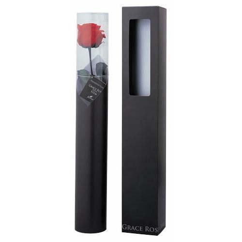 グレースローズ ステム付 チェリーレッドの画像